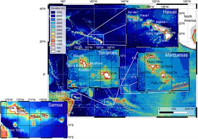 A Comparison of the Magmatic Evolution of Pacific Intraplate Volcanoes: Constraints on Melting in Mantle Plumes